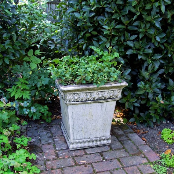 Empire stone garden urn with scroll detailing in a UK garden